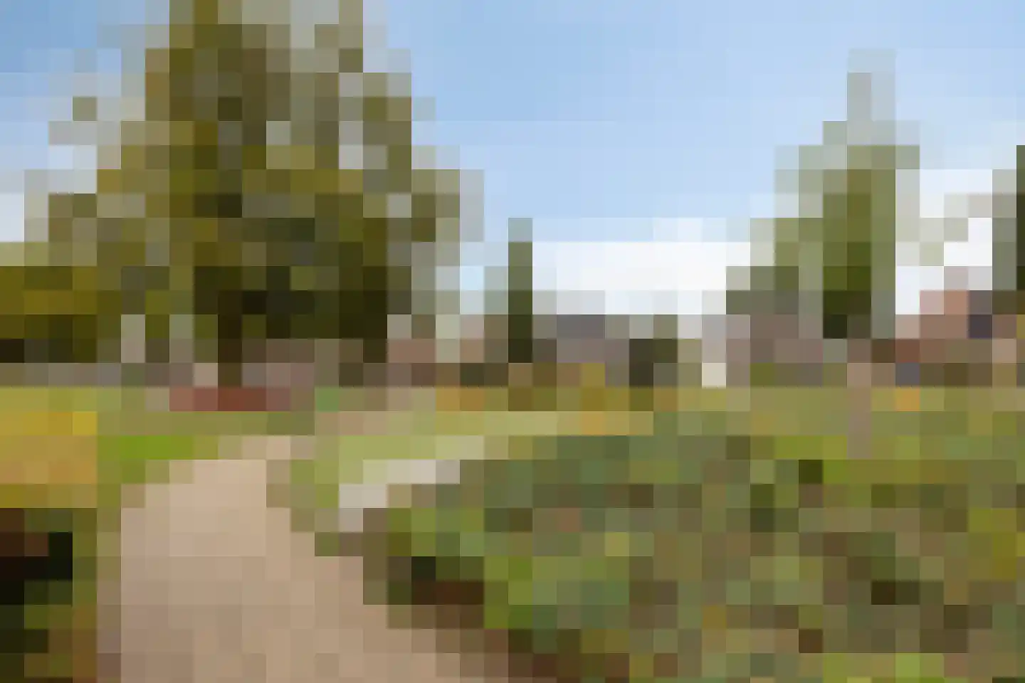 Hertogensingel 68 Oss thumbnail 48