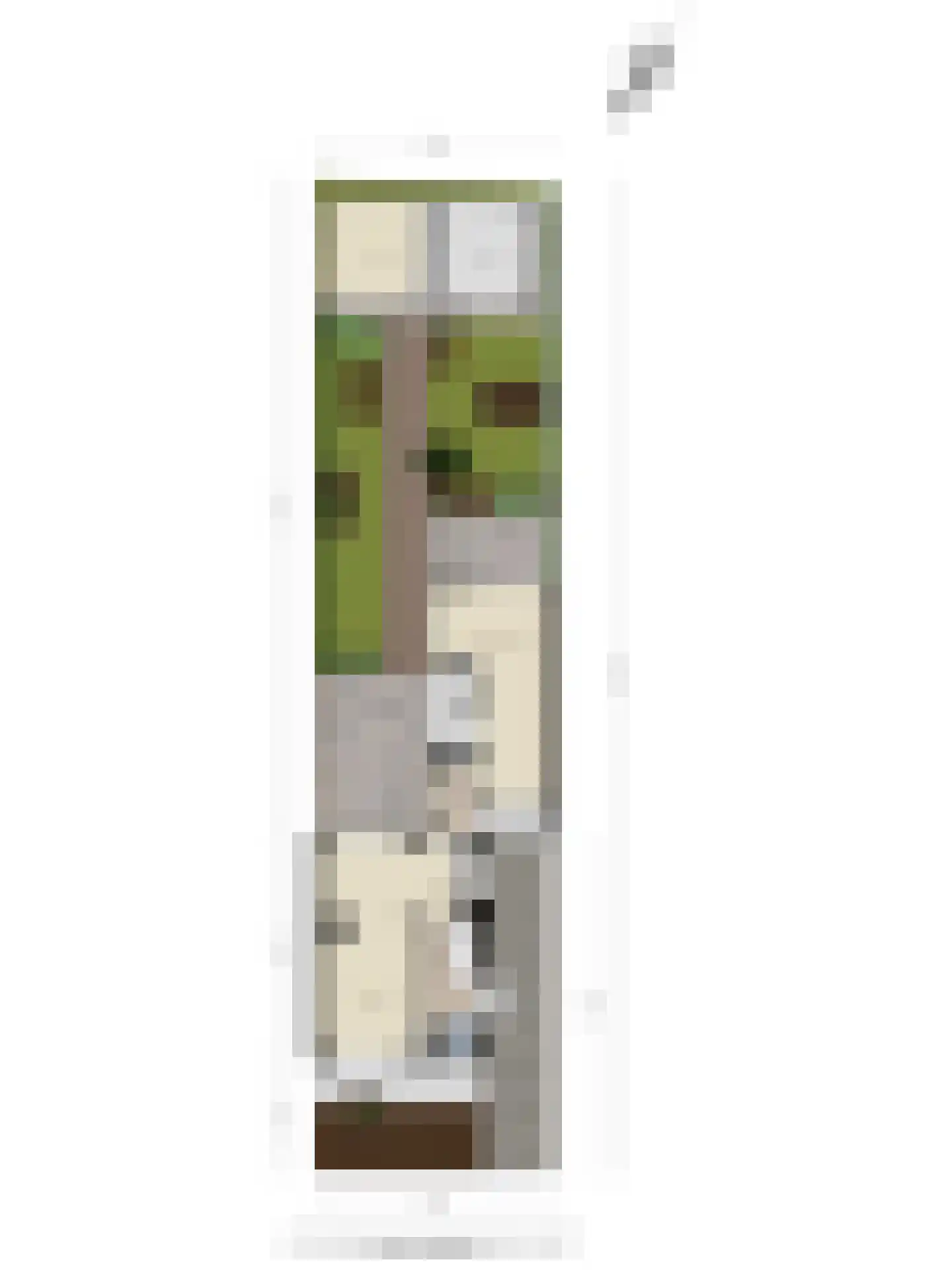Hertogensingel 68 Oss thumbnail 49