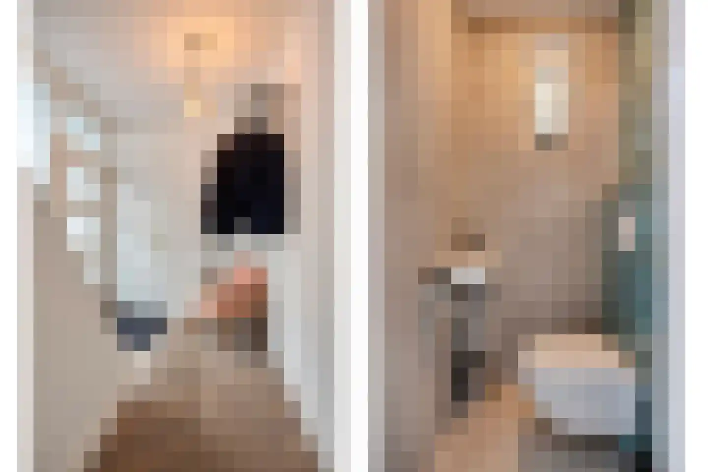 Hertogensingel 68 Oss thumbnail 5