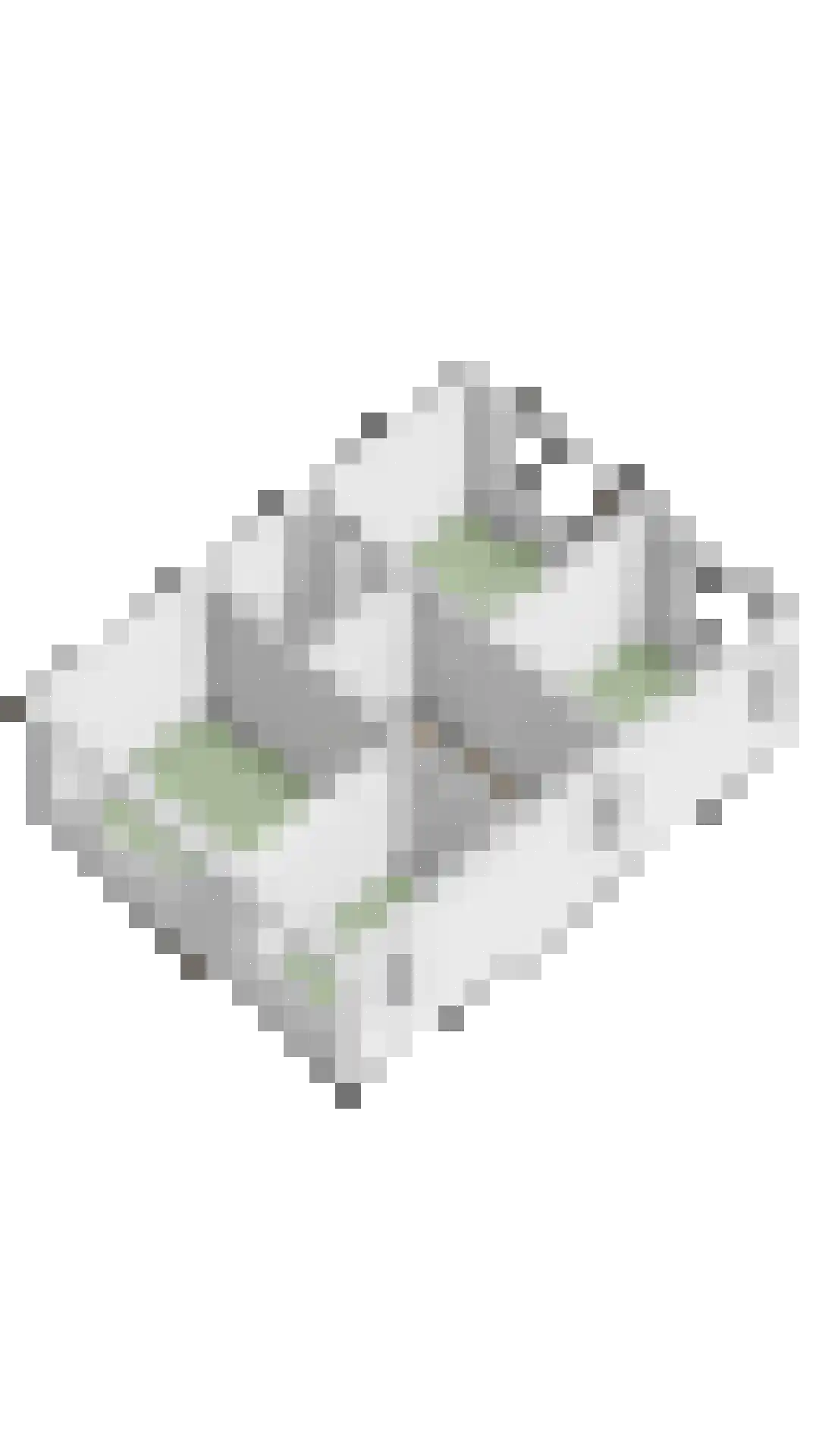 Hertogensingel 68 Oss thumbnail 54