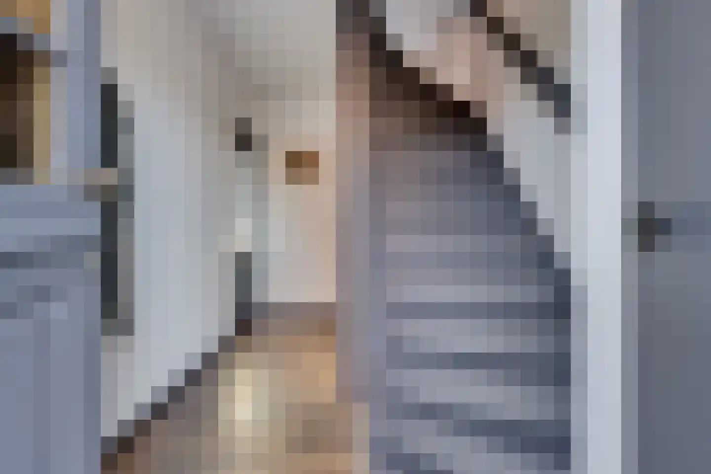 Hertogenstraat 12 Rijen thumbnail 12