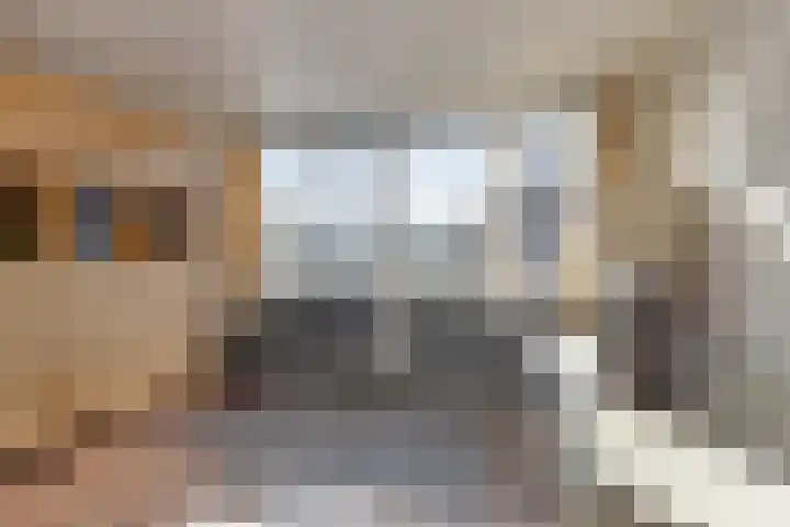 Hertogenstraat 12 Rijen thumbnail 19