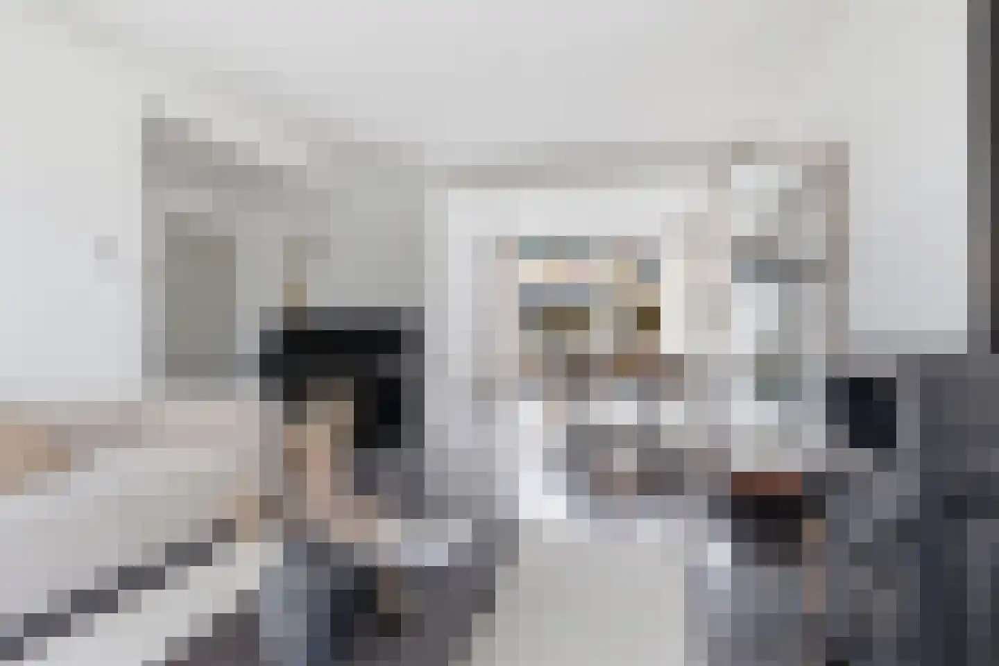 Hertogenven 40 Heemskerk thumbnail 4