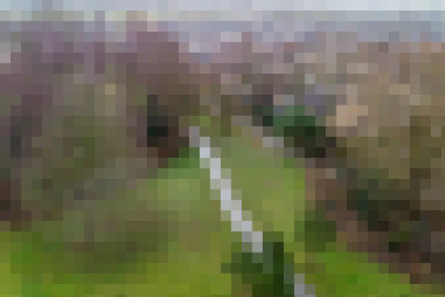 Hertogenven 40 Heemskerk thumbnail 45