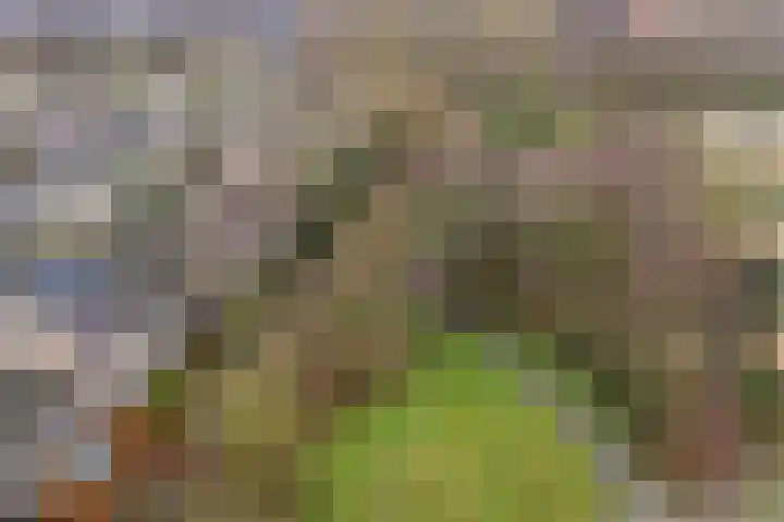 Hertogenven 40 Heemskerk thumbnail 46