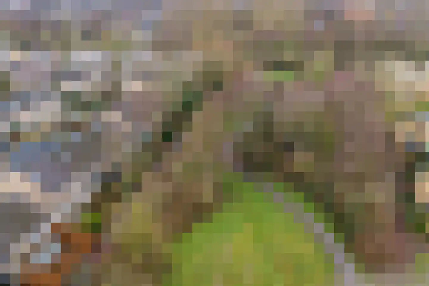 Hertogenven 40 Heemskerk thumbnail 46