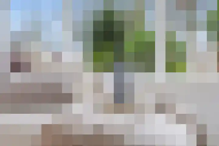 Hertogenven 40 Heemskerk thumbnail 5