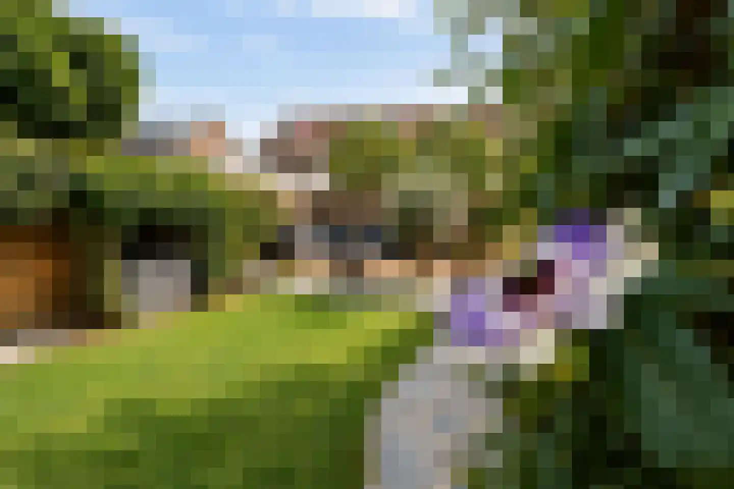 Hertogenven 62 Heemskerk thumbnail 36