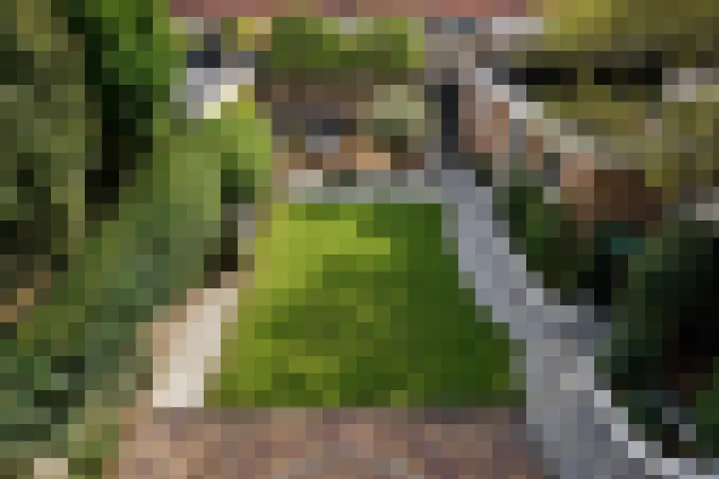 Hertogenven 62 Heemskerk thumbnail 38