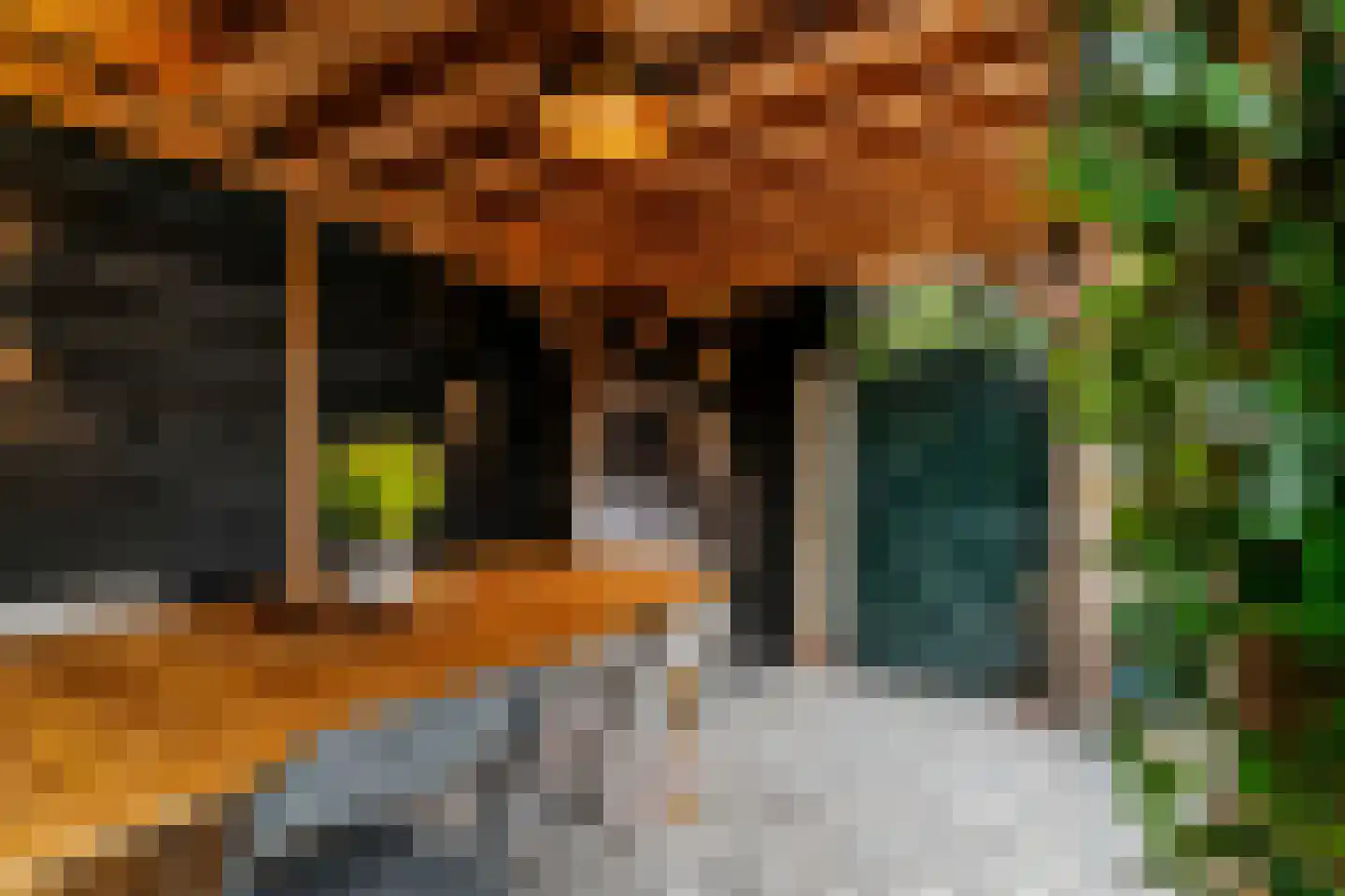 Hertogenven 62 Heemskerk thumbnail 41