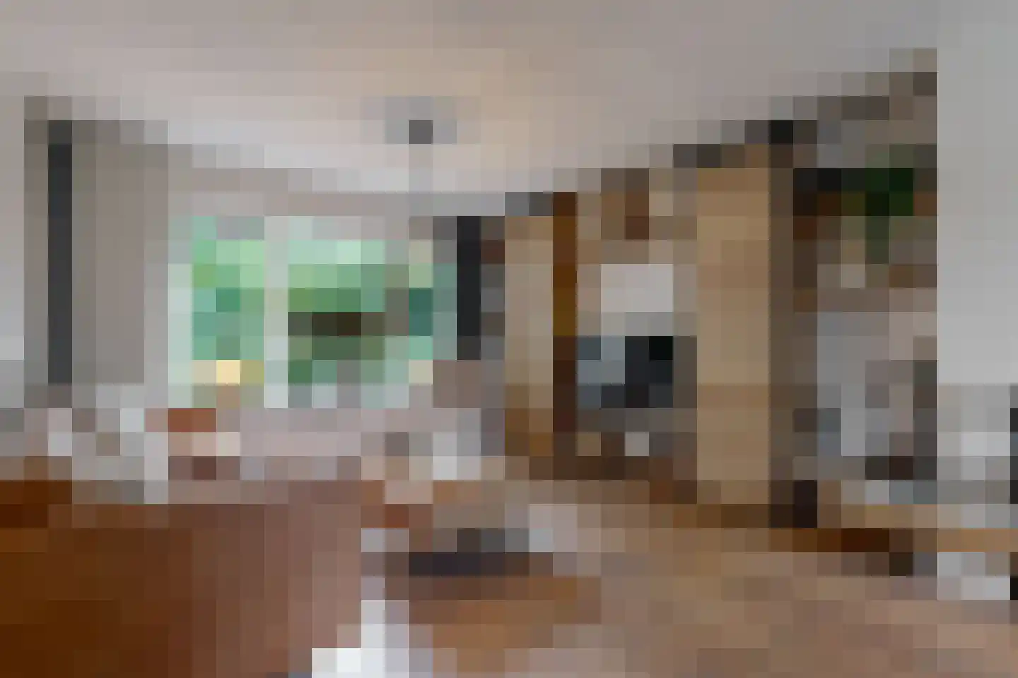 Hertogenven 62 Heemskerk thumbnail 7