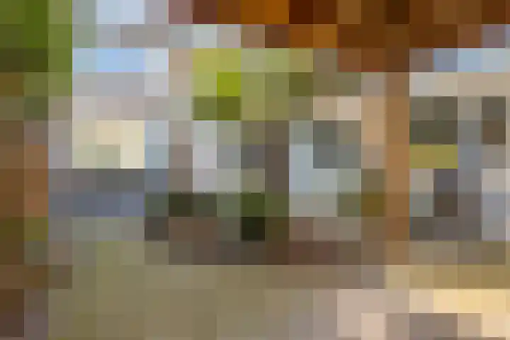 Hertogin Hermingardisstraat 3 Oss thumbnail 16