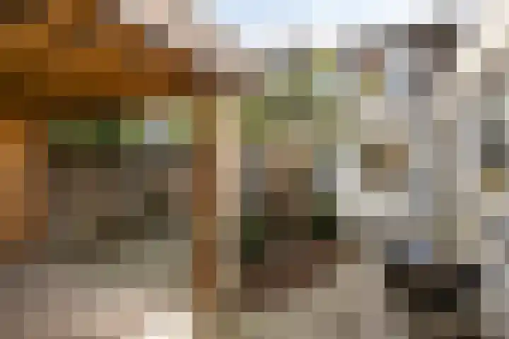 Hertogin Hermingardisstraat 3 Oss thumbnail 17