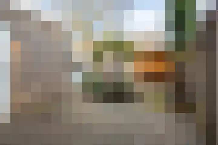 Hertogin Hermingardisstraat 3 Oss thumbnail 18