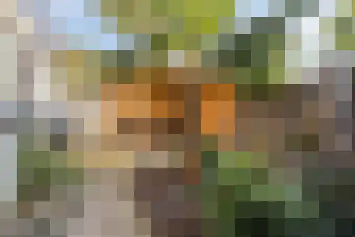 Hertogin Hermingardisstraat 3 Oss thumbnail 19