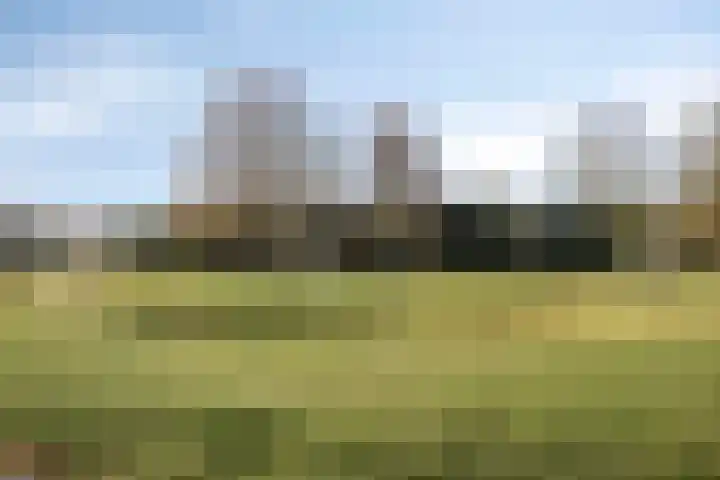 Hertogin Hermingardisstraat 3 Oss thumbnail 23