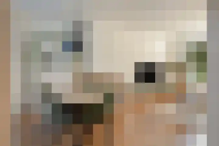 Hertogin Hermingardisstraat 3 Oss thumbnail 4