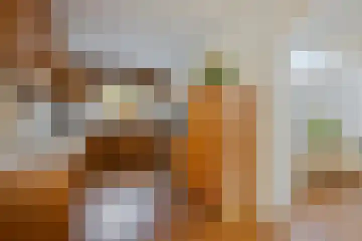 Hertogin Hermingardisstraat 3 Oss thumbnail 5