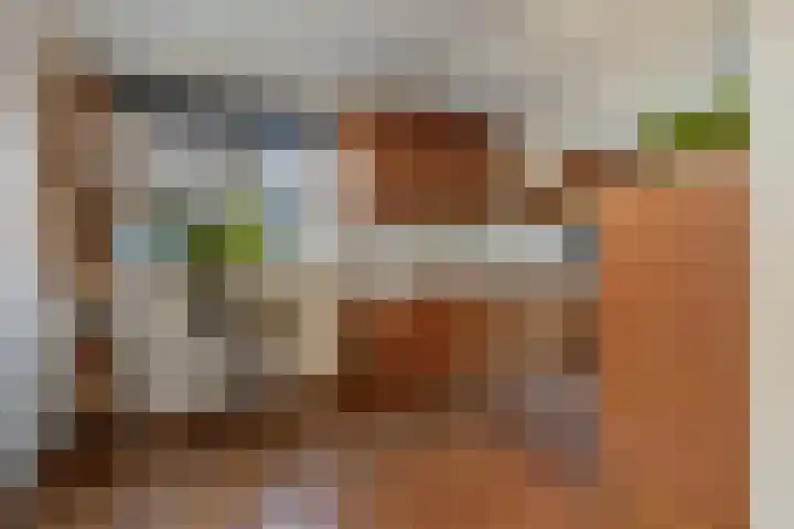 Hertogin Hermingardisstraat 3 Oss thumbnail 7