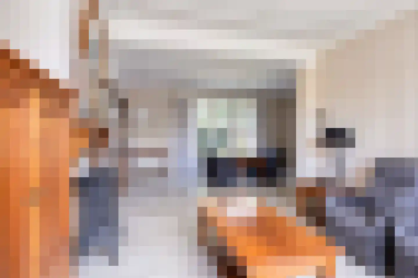 Hertogin Johannasingel 11 Oss thumbnail 11