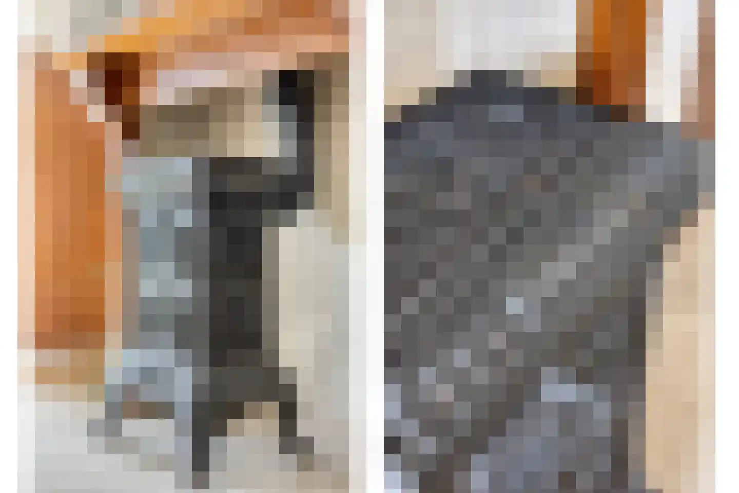 Hertogin Johannasingel 11 Oss thumbnail 15