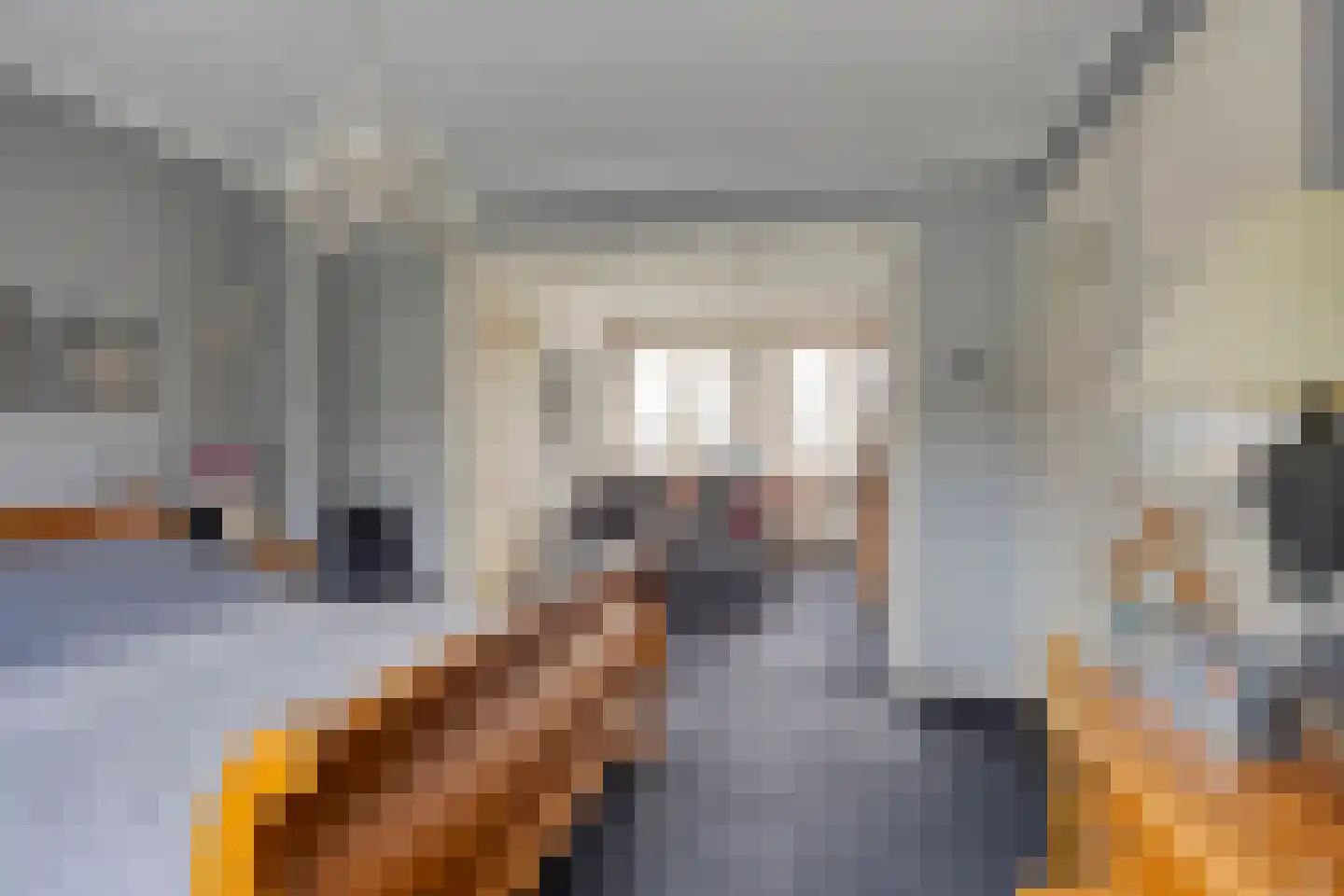 Hertogin Johannasingel 11 Oss thumbnail 16