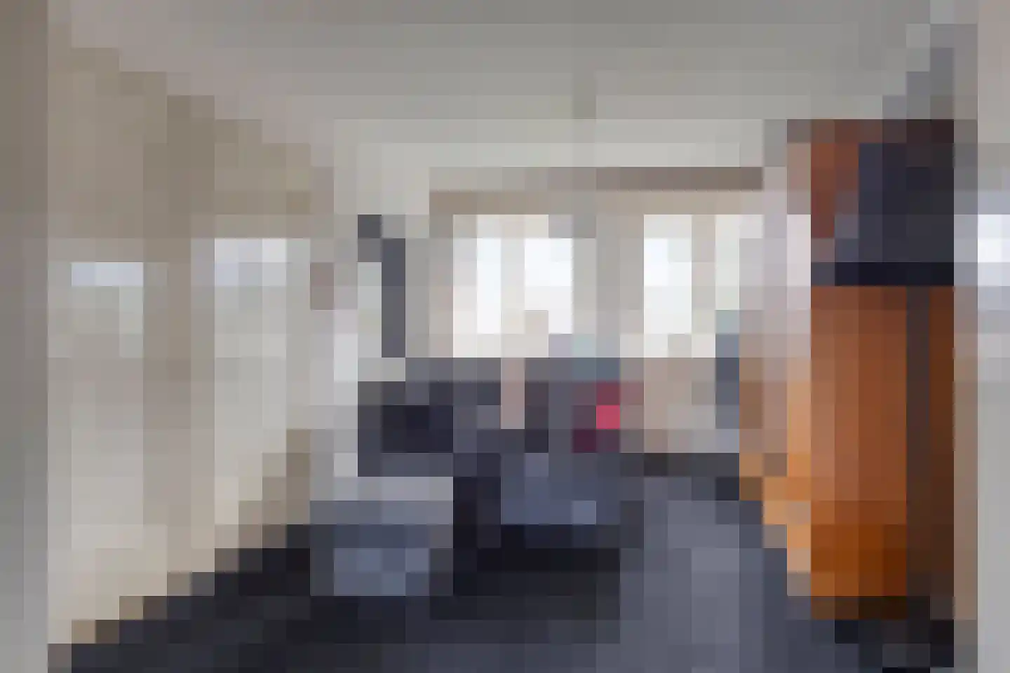 Hertogin Johannasingel 11 Oss thumbnail 17
