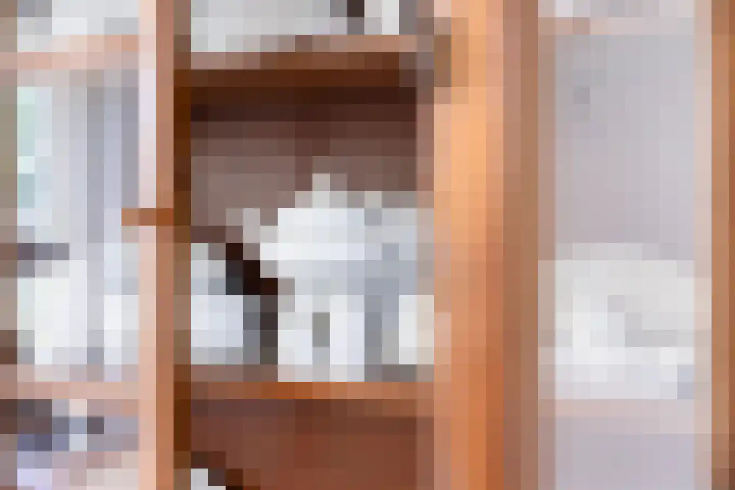 Hertogin Johannasingel 11 Oss thumbnail 17