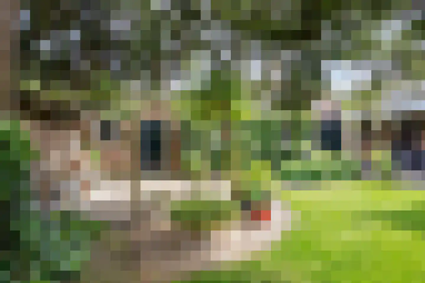 Hertogin Johannasingel 11 Oss thumbnail 24
