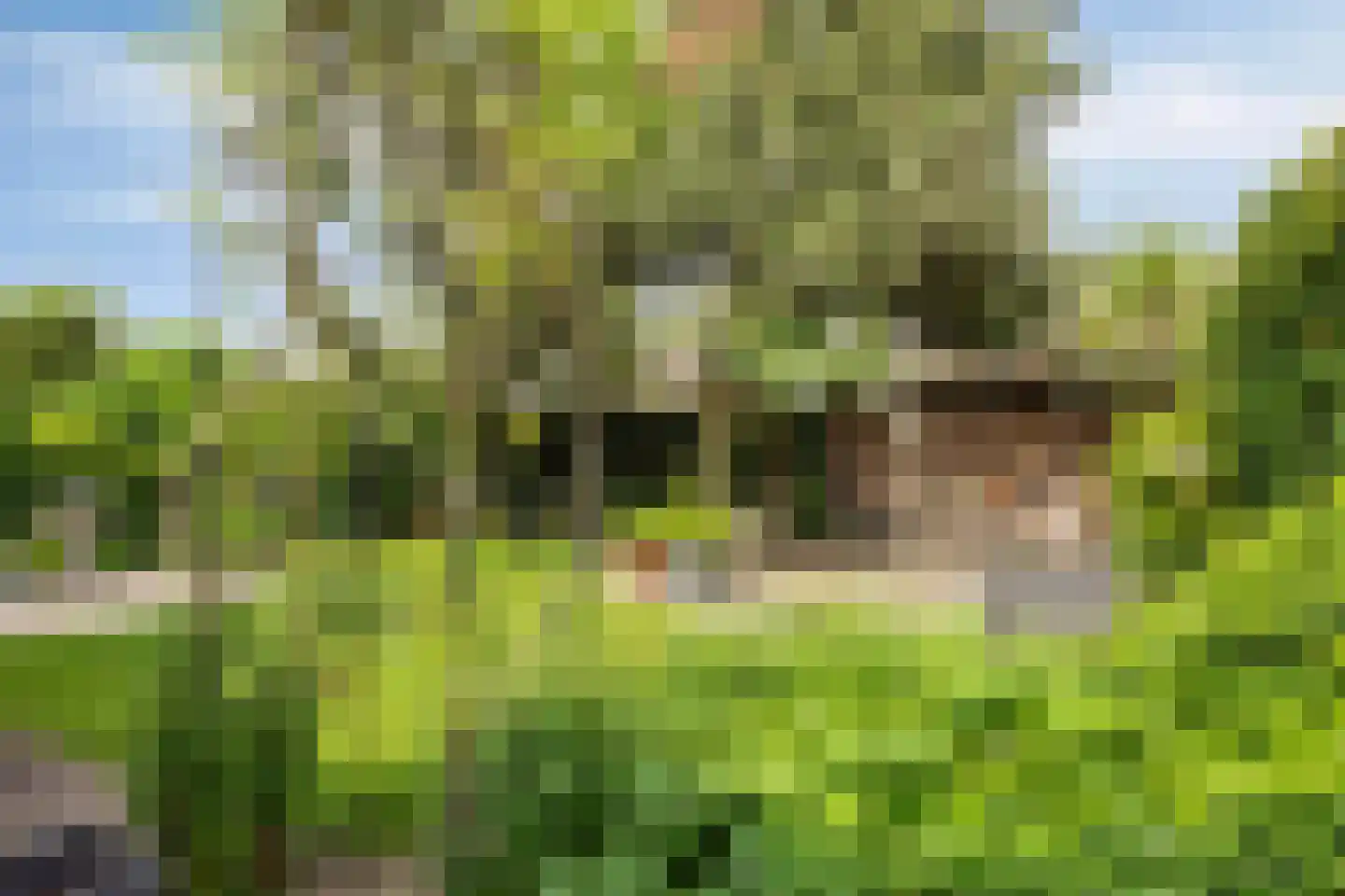 Hertogin Johannasingel 11 Oss thumbnail 25