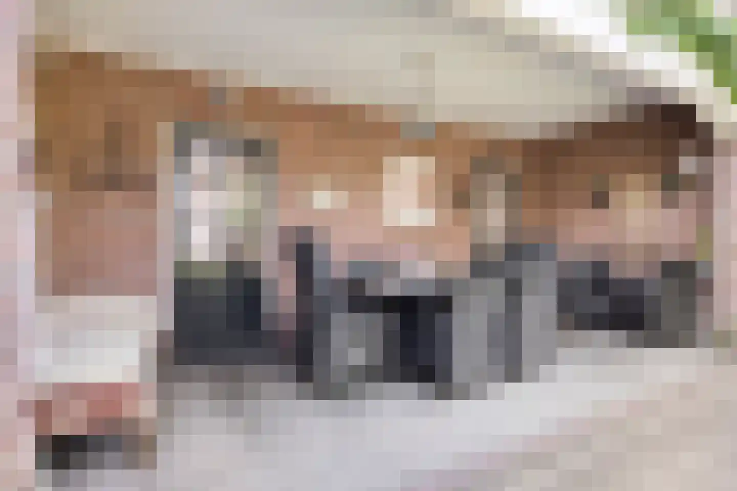 Hertogin Johannasingel 11 Oss thumbnail 27