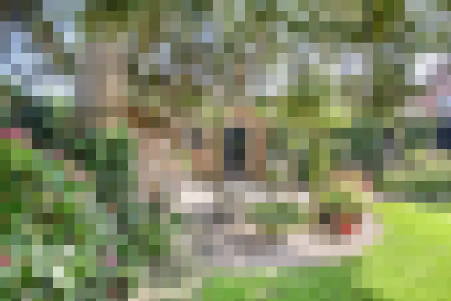 Hertogin Johannasingel 11 Oss thumbnail 33