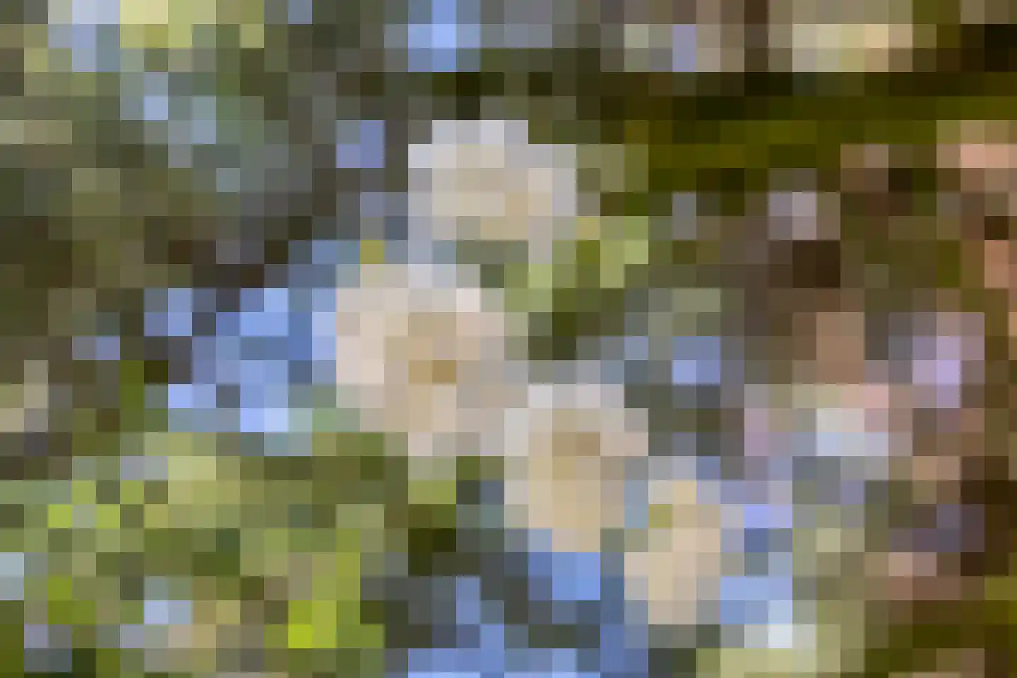 Hertogin Johannasingel 11 Oss thumbnail 34