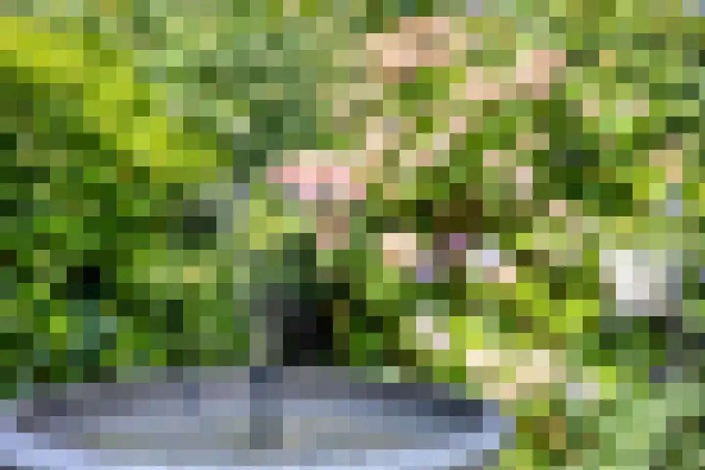 Hertogin Johannasingel 11 Oss thumbnail 36