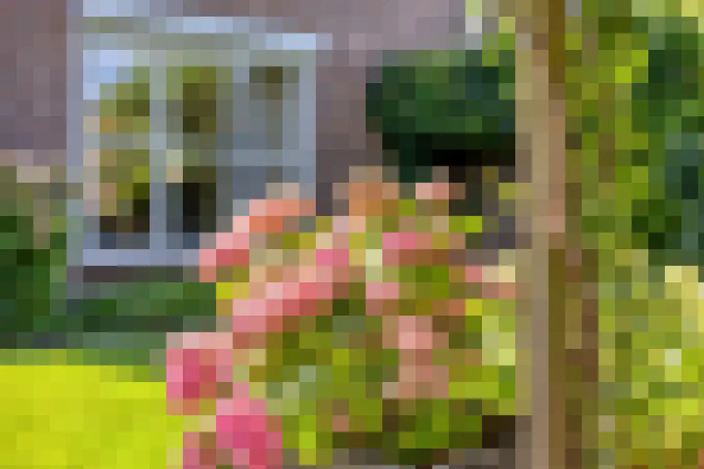 Hertogin Johannasingel 11 Oss thumbnail 39