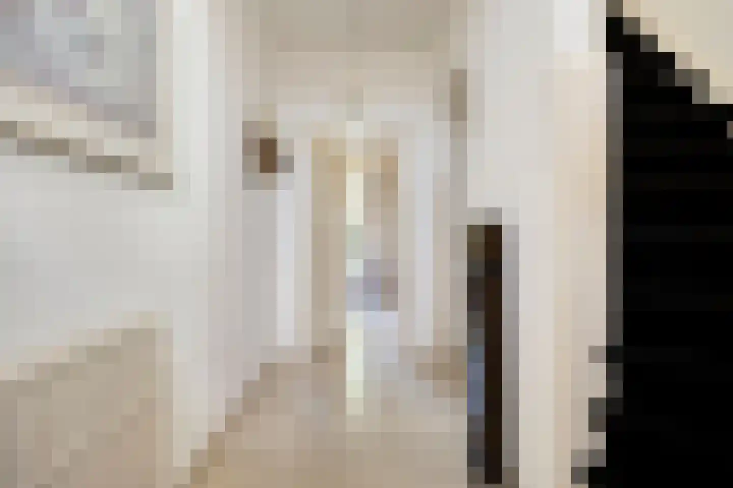Hertogin Johannasingel 11 Oss thumbnail 40