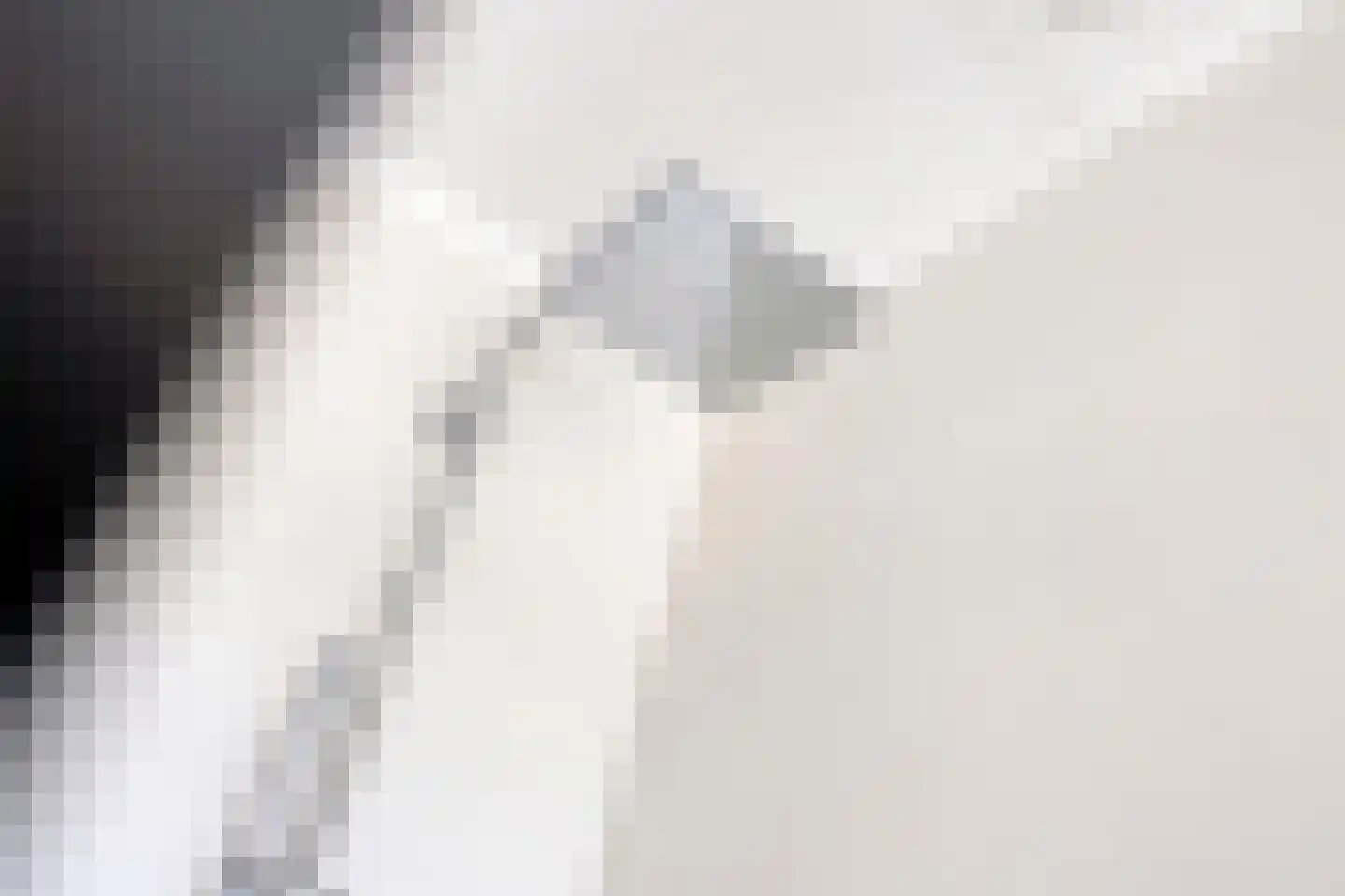Hertogin Johannasingel 11 Oss thumbnail 48