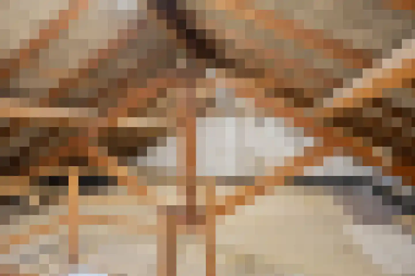 Hertogin Johannasingel 11 Oss thumbnail 55