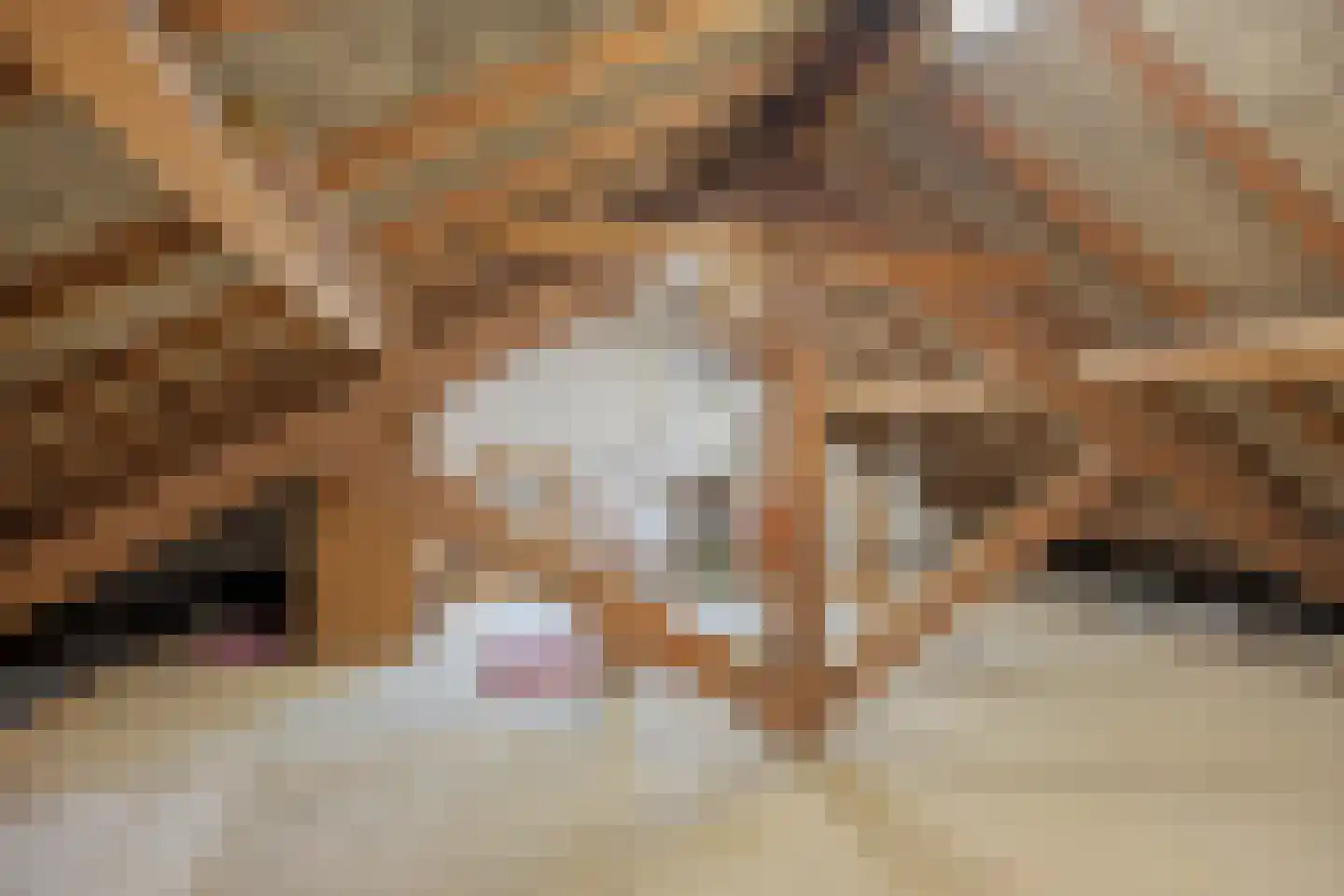 Hertogin Johannasingel 11 Oss thumbnail 56