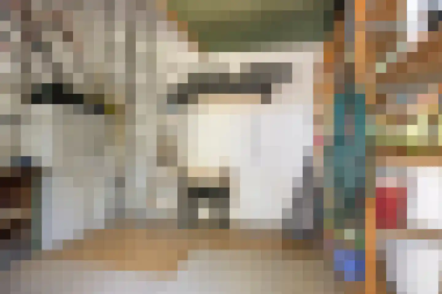 Hertogin Johannasingel 11 Oss thumbnail 57