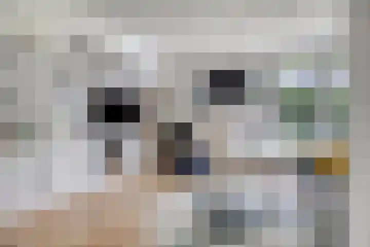 Hertogin Johannasingel 15 Oss thumbnail 13
