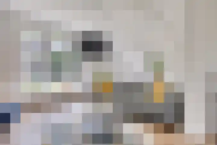 Hertogin Johannasingel 15 Oss thumbnail 16