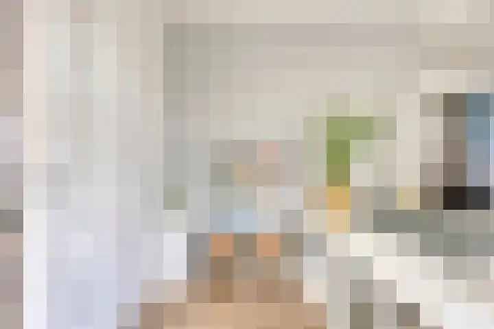 Hertogin Johannasingel 15 Oss thumbnail 17