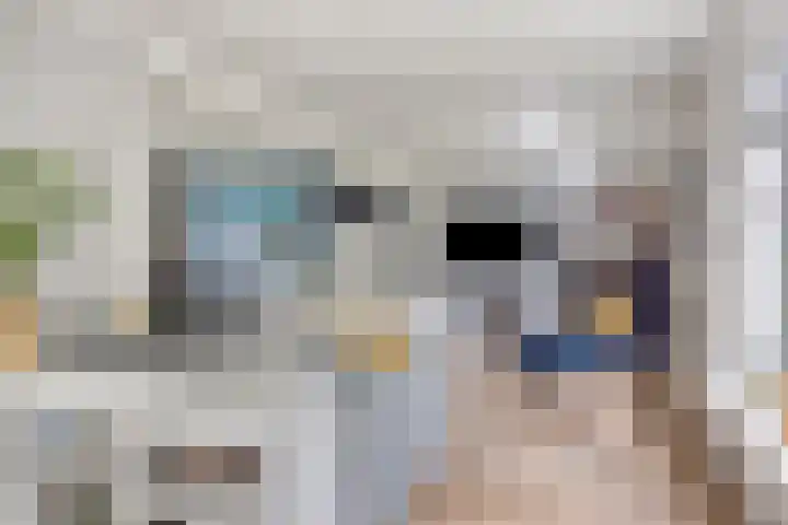 Hertogin Johannasingel 15 Oss thumbnail 18