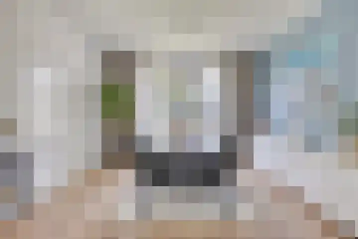 Hertogin Johannasingel 15 Oss thumbnail 21