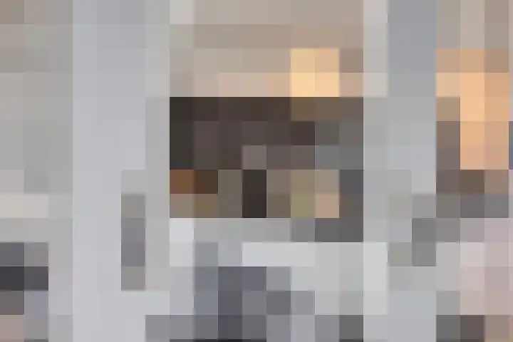 Hertogin Johannasingel 15 Oss thumbnail 23