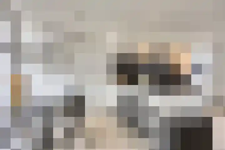 Hertogin Johannasingel 15 Oss thumbnail 24