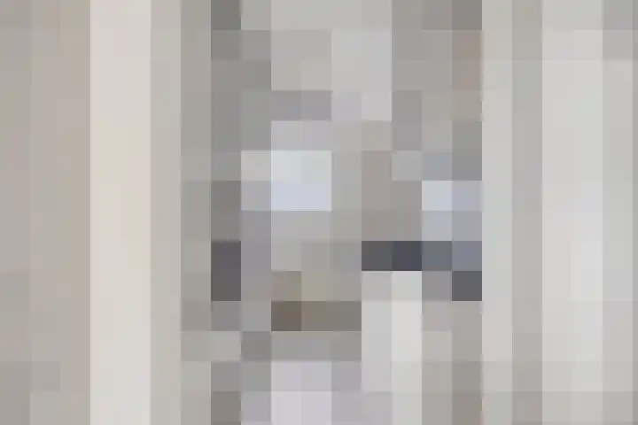 Hertogin Johannasingel 15 Oss thumbnail 29