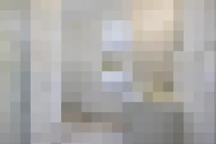 Hertogin Johannasingel 15 Oss thumbnail 32