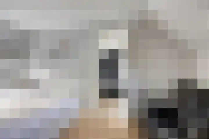 Hertogin Johannasingel 15 Oss thumbnail 36